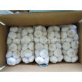 1kg White Garic in China for 10kg/carton, Hot Sale Garlic